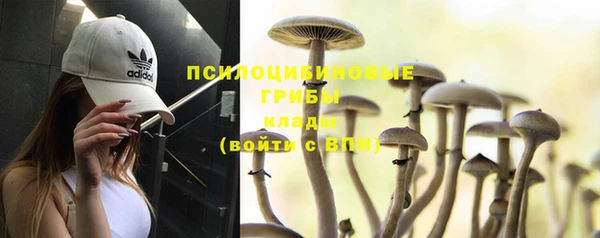 не бодяженный Алексин