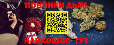индика Пугачёв