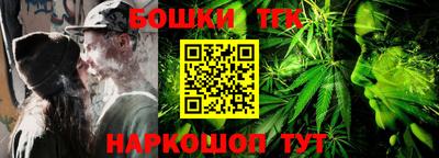 индика Пугачёв