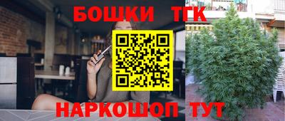 индика Пугачёв