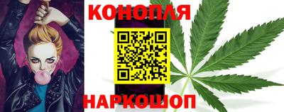индика Пугачёв