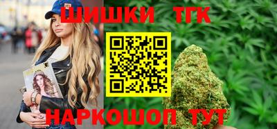 индика Пугачёв