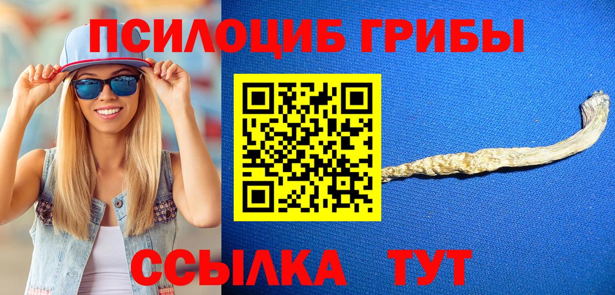 Псилоцибиновые грибы GOLDEN TEACHER  Вход с VPN  Сухой Лог 